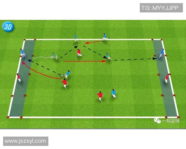 深圳足球队个人能力深度解析与发展潜力探讨