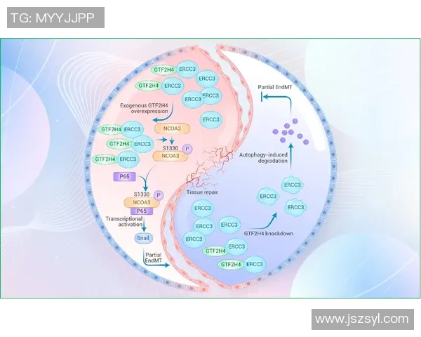 西安网球队在欧锦赛中的战术意识与团队配合全面解析