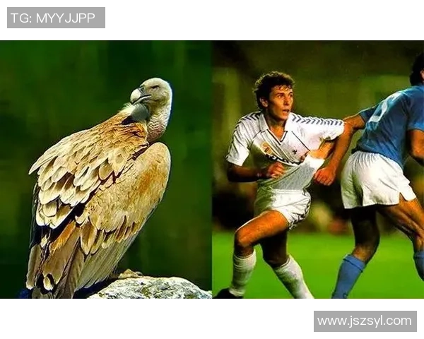 国外足球明星的中文外号解析与背后故事分享